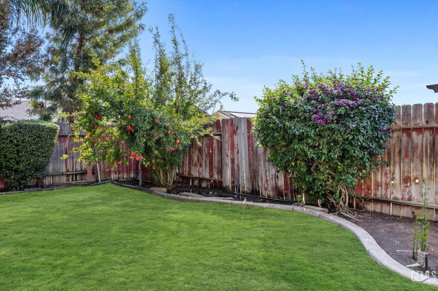 Undisclosed Address Bakersfield, CA 93312 - Photo 40 of 42 a view of a backyard with potted plants and large trees