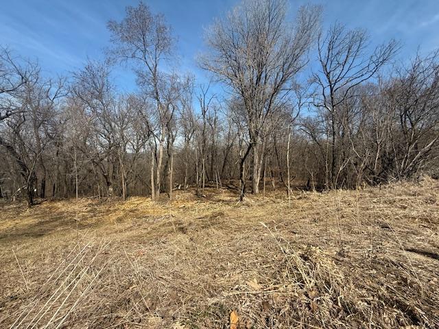 328 Limestone Road Cannon Falls, MN 55009 - Photo 10 of 11