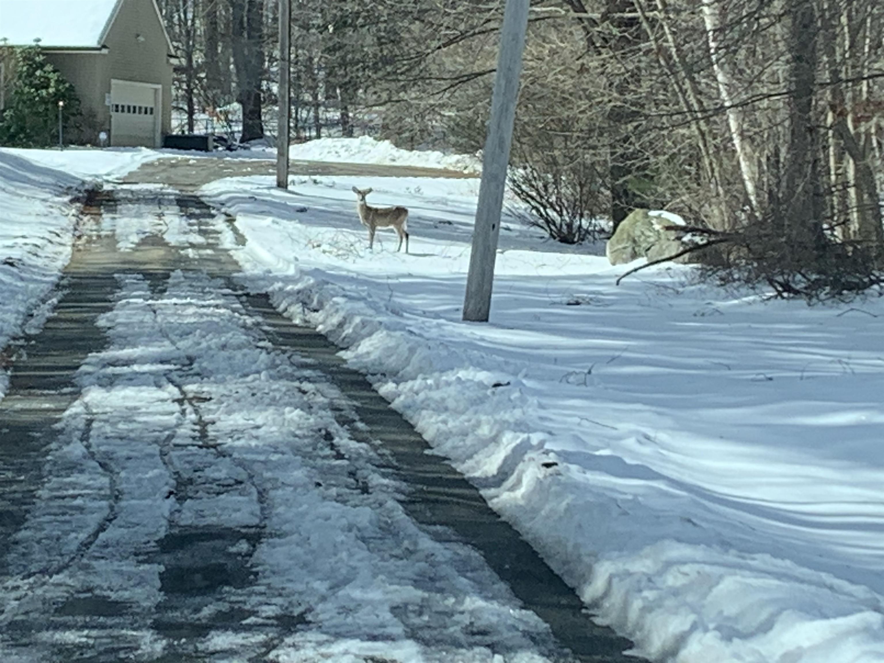 97 North Lowell Road Windham, NH 03087 - Photo 18 of 28