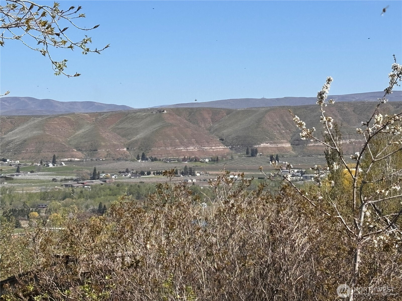 0 Rosenkranz Road Tieton, WA 98947 - Photo 1 of 5