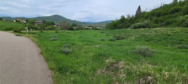 a view of a lush green hillside and trees