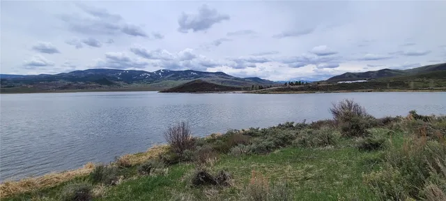 a close up of a plant in a garden