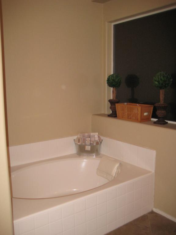 9117 West Payson Road Tolleson, AZ 85353 - Photo 7 of 15 tub