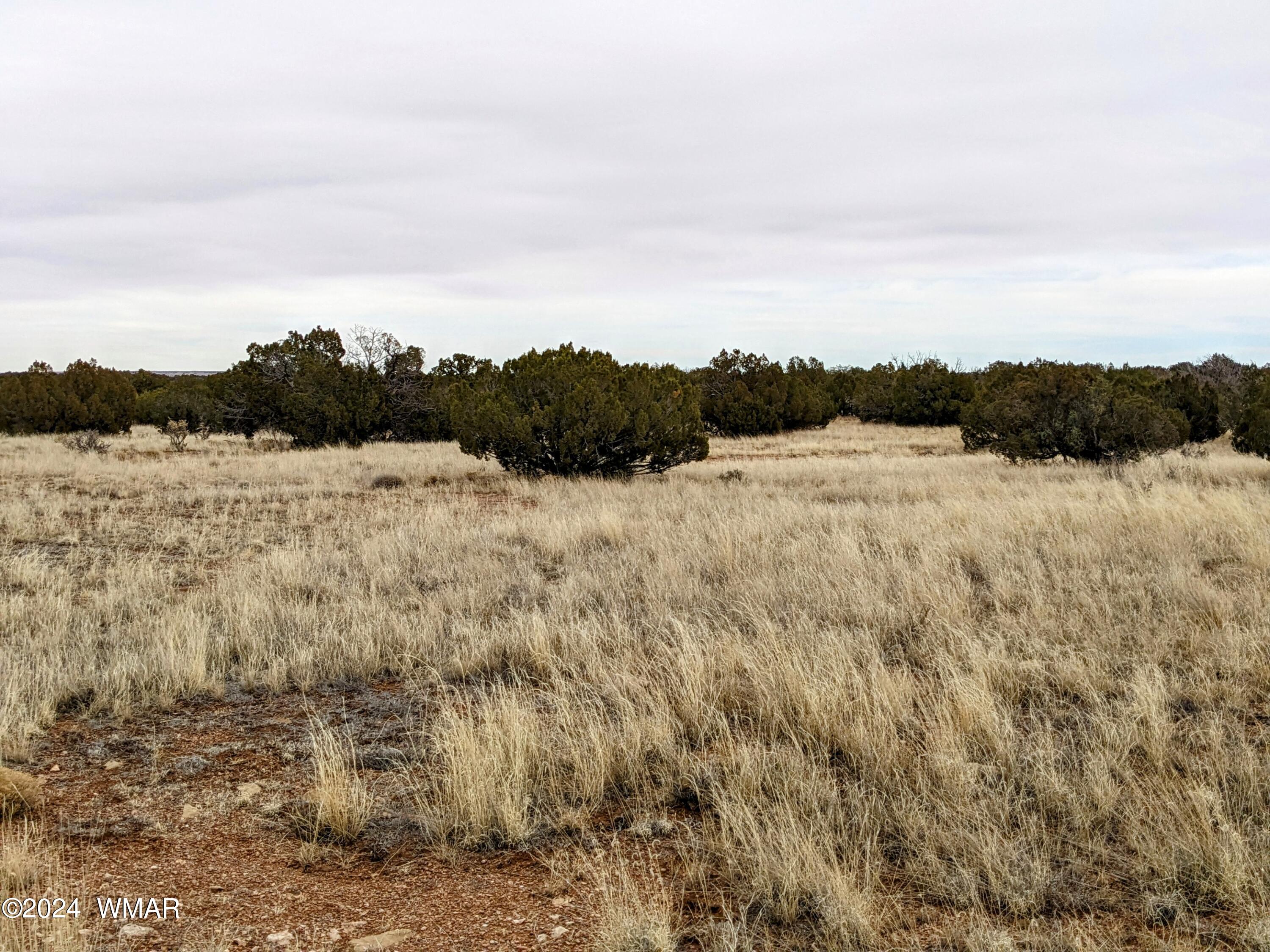 Tbd Cramer Circle Heber, AZ 85928 - Photo 1 of 8