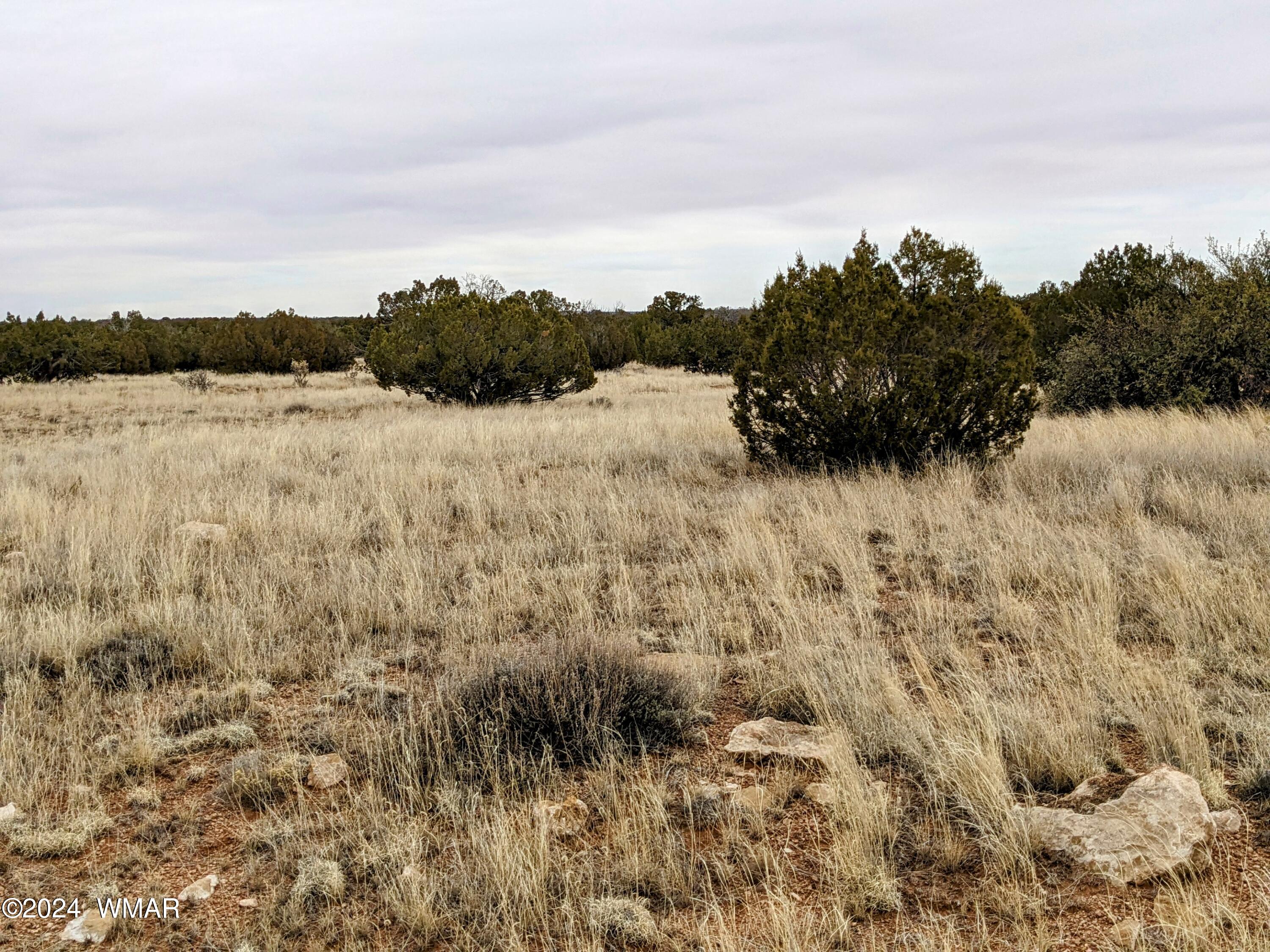 Tbd Cramer Circle Heber, AZ 85928 - Photo 2 of 8