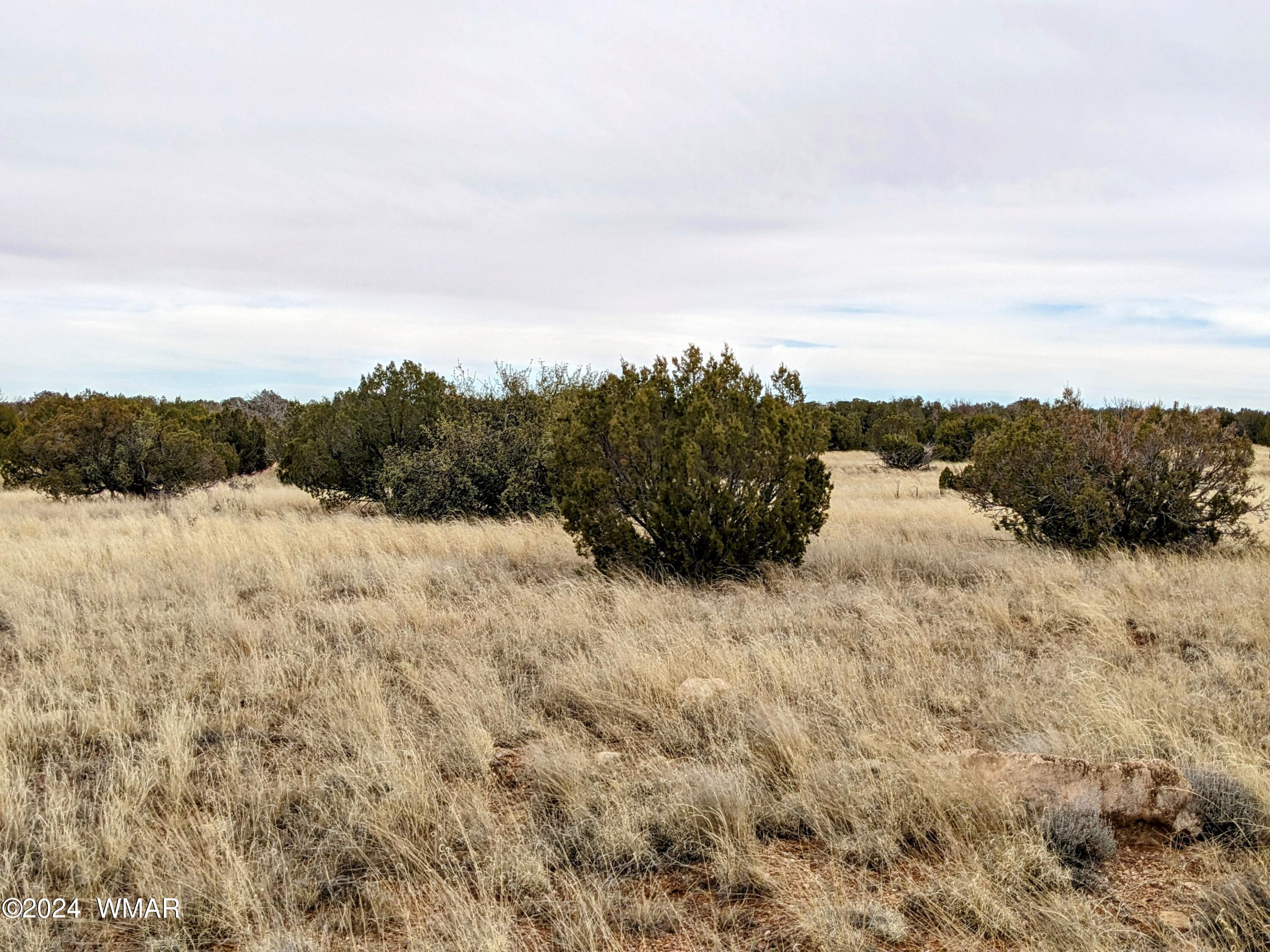 Tbd Cramer Circle Heber, AZ 85928 - Photo 6 of 8