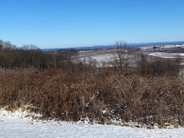 $925,000 | 156 Mt Zion Road, Marlboro, NY 12542