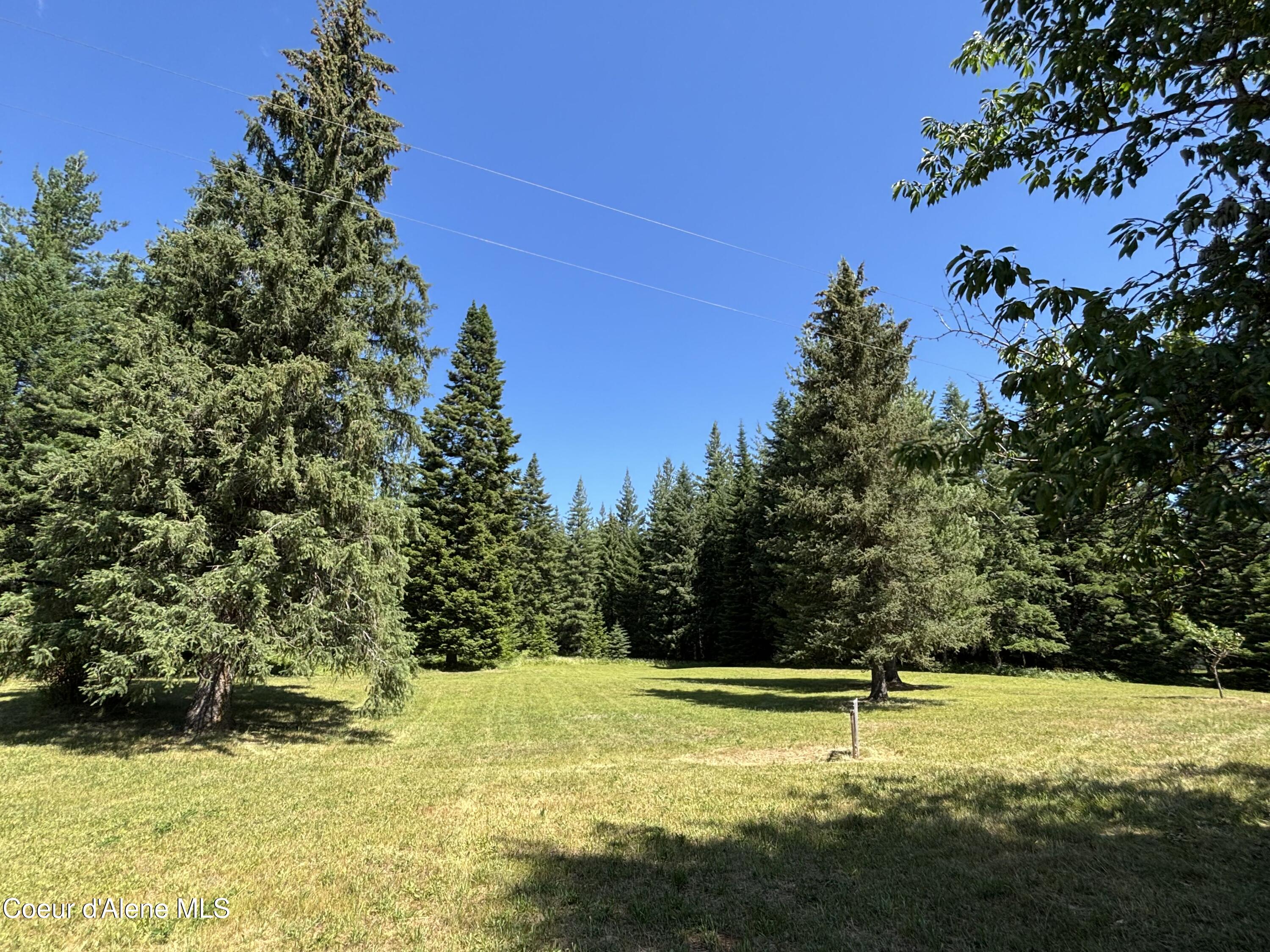 118 Walsh Way Sandpoint, ID 83864 - Photo 4 of 46 007 north forest