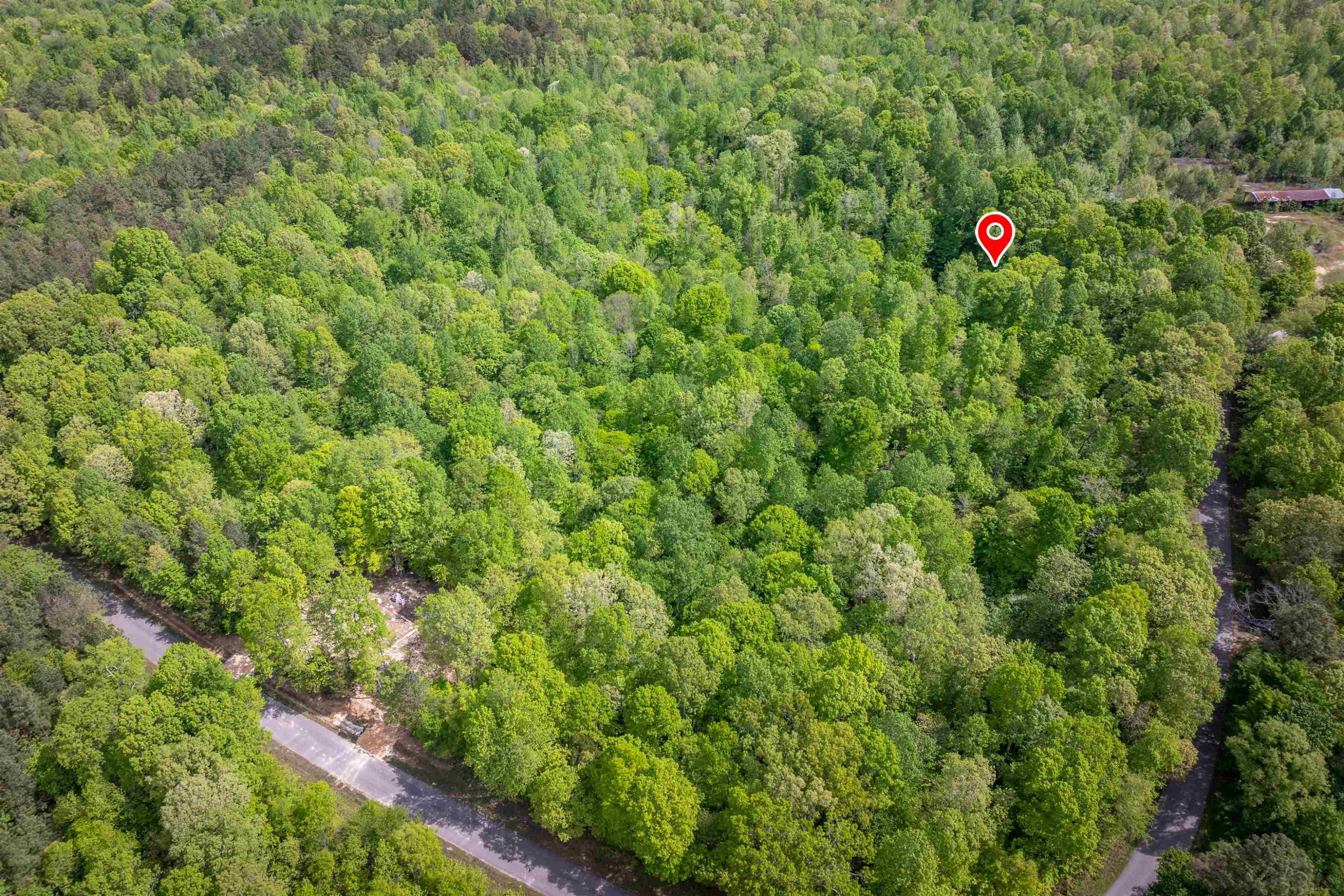 0 Cedar Hill Road Parsons, TN 38363 - Photo 3 of 6 a close up of a tree in a yard