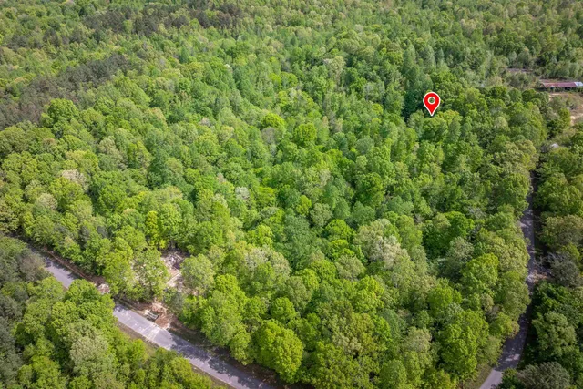 a street sign that is sitting in a forest
