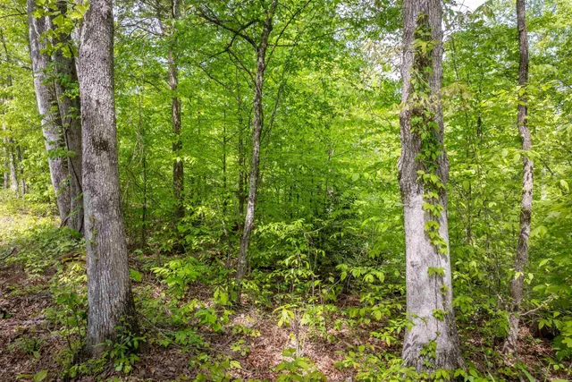 $29,900 | 0 Cedar Hill Road, Parsons, TN 38363