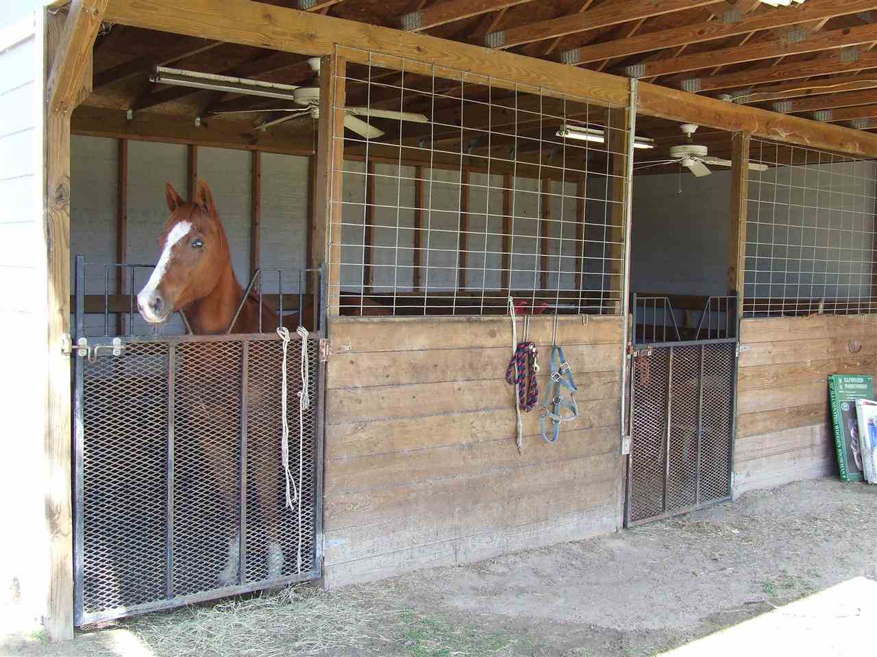 955 Bassett Dairy Road Monticello, FL 32344 - Photo 16 of 20 Gallery Image 16