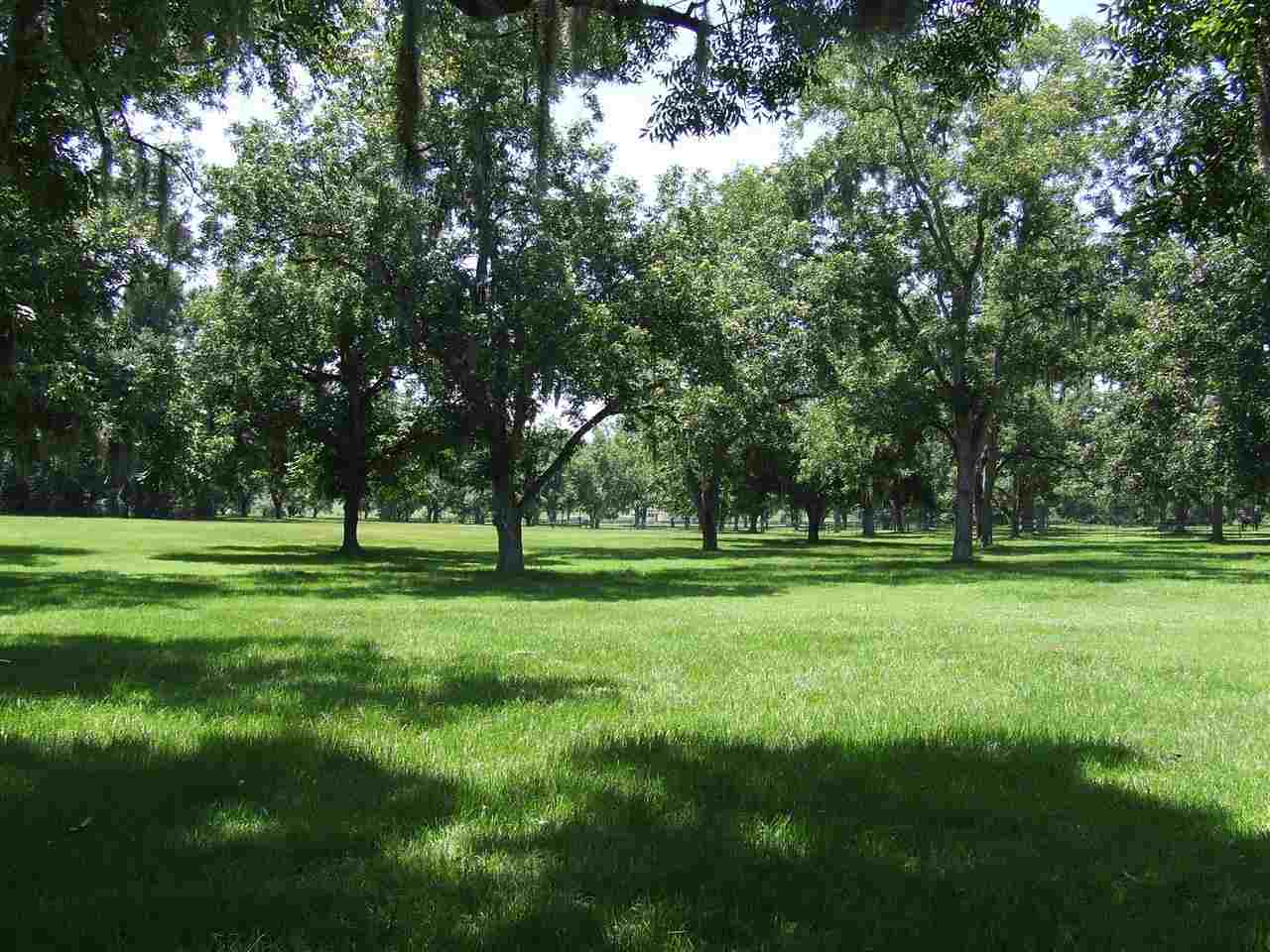 955 Bassett Dairy Road Monticello, FL 32344 - Photo 5 of 20 Gallery Image 5