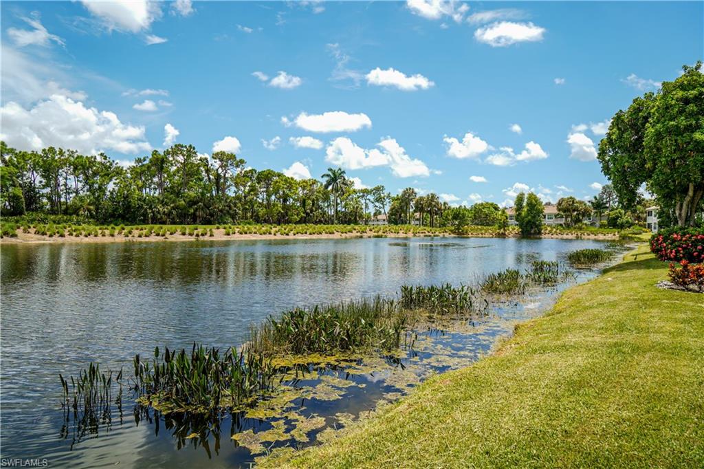 9341 Spring Run Boulevard, Unit 3106 Estero, FL 34135 - Photo 30 of 44 Water view