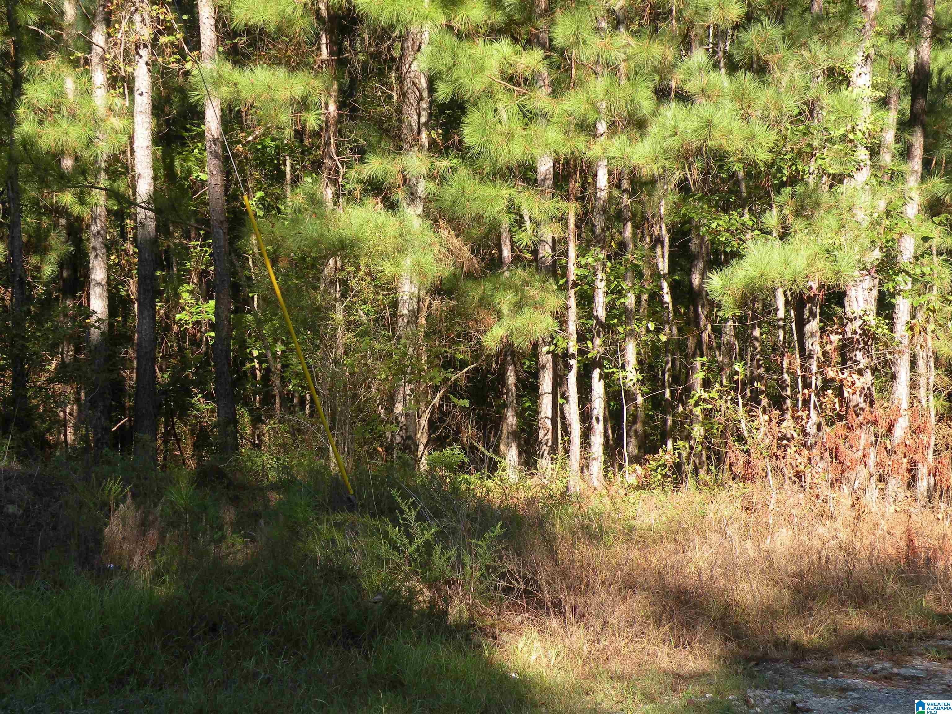 Grist Mill Road, Unit 1 Childersburg, AL 35044 - Photo 2 of 6