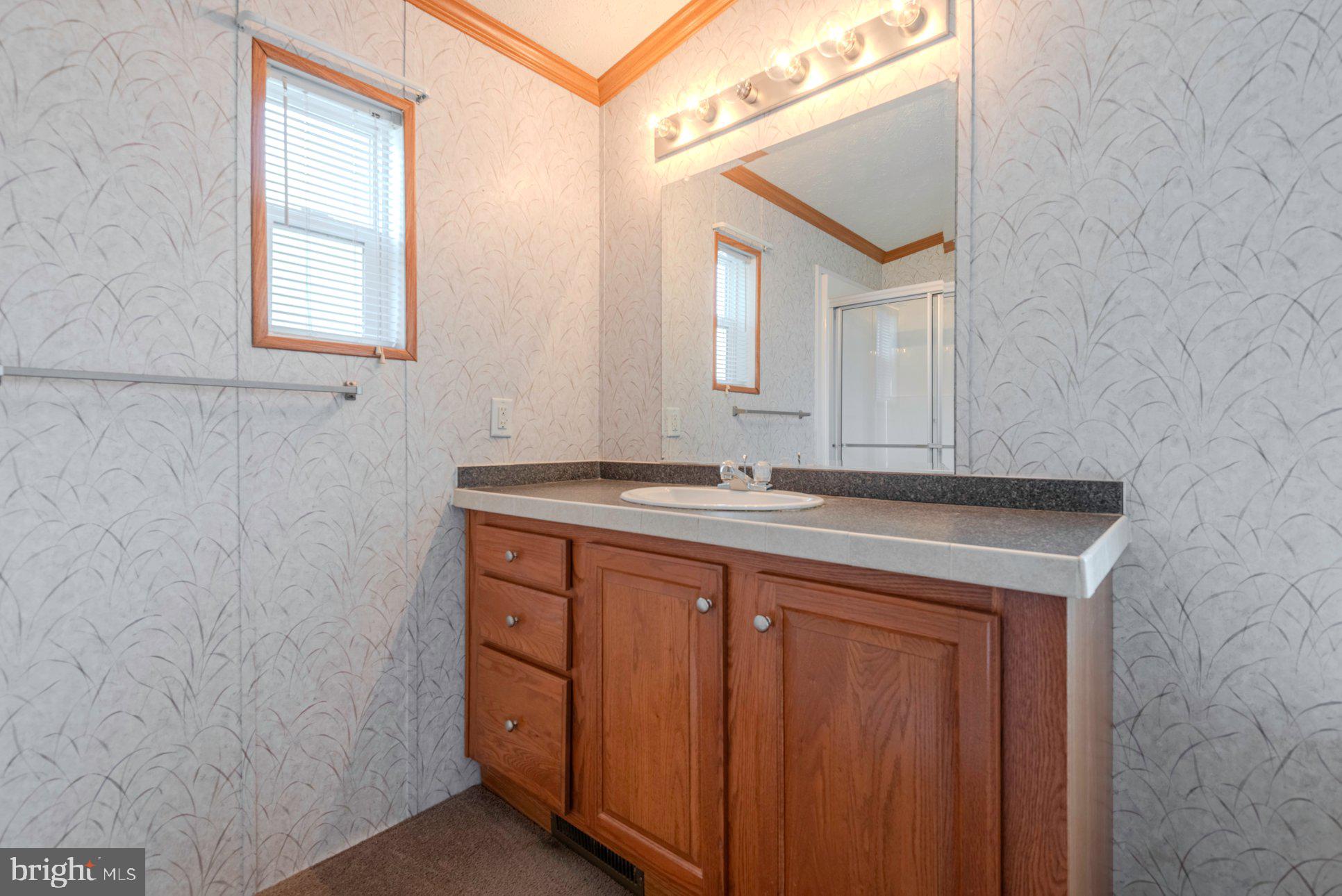205 Trailway Road Middle River, MD 21220 - Photo 21 of 37 Primary bath