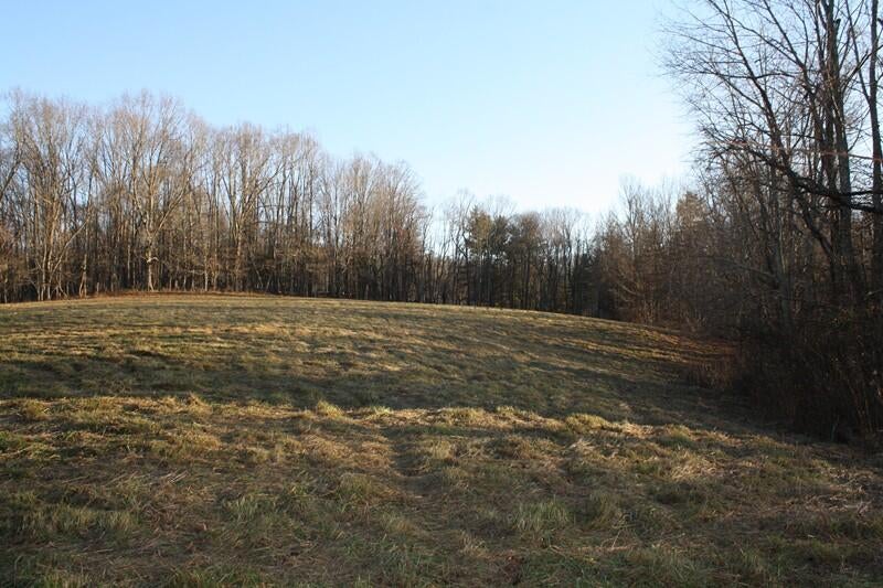 Zion Mountain Road Hinton, WV 25951 - Photo 7 of 73 Gallery Image 7