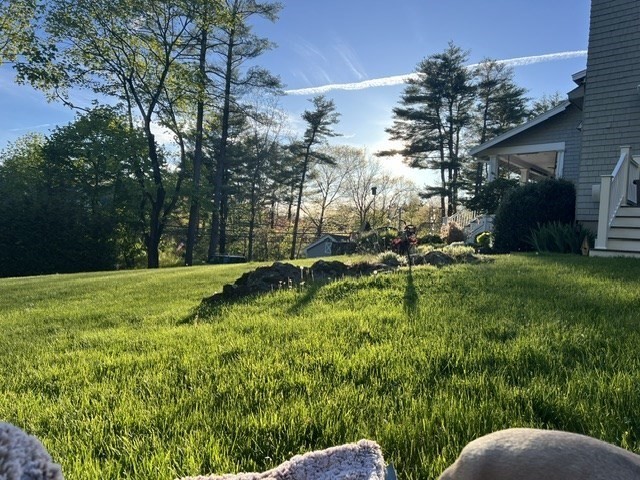 154 Topsfield Road Boxford, MA 01921 - Photo 26 of 39 a view of backyard with green space