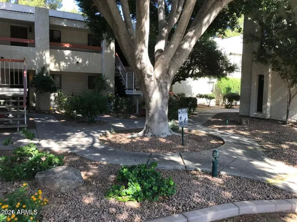 a view of a street with a tree in the background