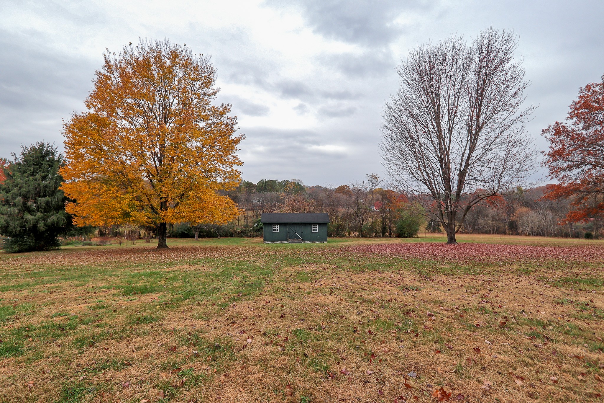 809 Nathan Drive Columbia, TN 38401 - Photo 39 of 41 a view of an outdoor space with yard