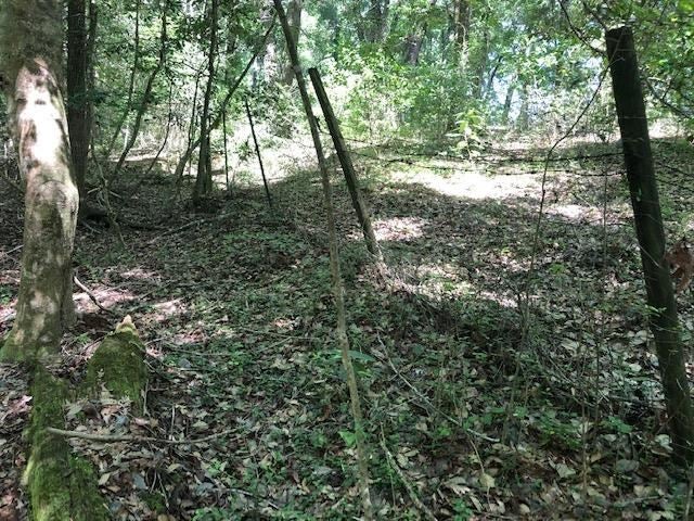 331 NORTH Opp Al Opp, AL 36467 - Photo 13 of 38 Gallery Image 13