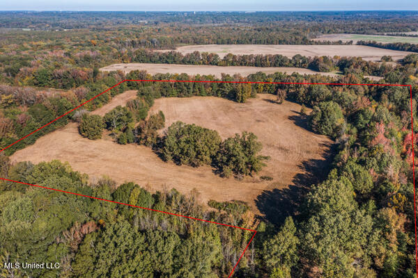 11880 Fairview Road Byhalia, MS 38611 - Photo 7 of 10 11880-Fairview-Road-07