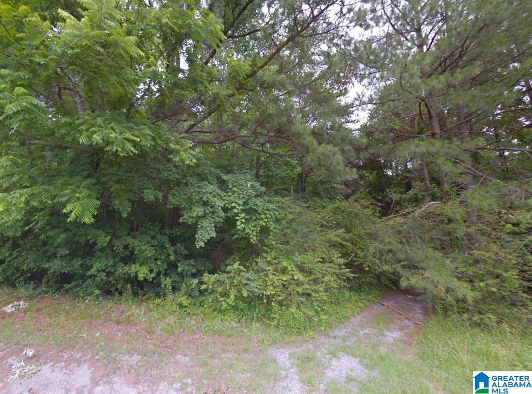 0 Bron Holmes Road Falkville, AL 35622 - Photo 13 of 14