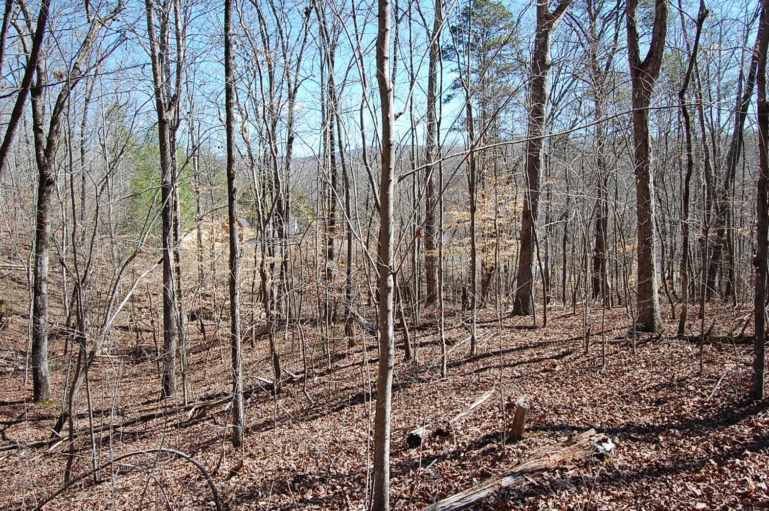 5 Pickett Cross Road Whitwell, TN 37397 - Photo 12 of 36 Gallery Image 12
