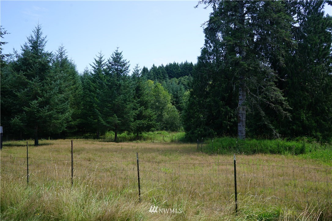 1174 Bunker Creek Road Chehalis, WA 98532 - Photo 3 of 25