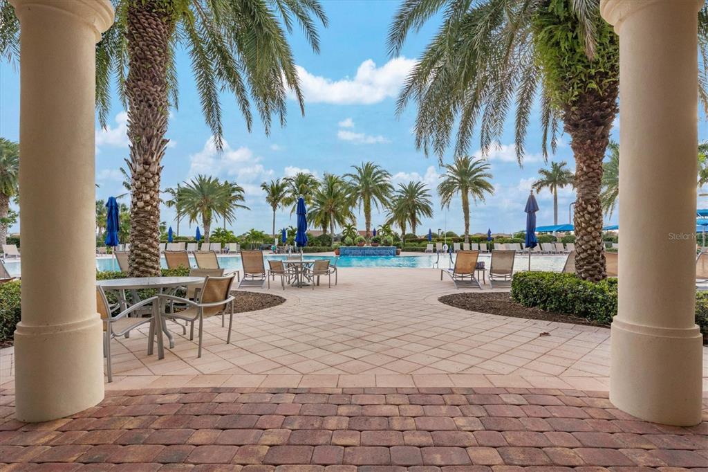 13222 Huerta Street Venice, FL 34293 - Photo 62 of 85 a row of palm trees and swimming pool in the backyard of a house