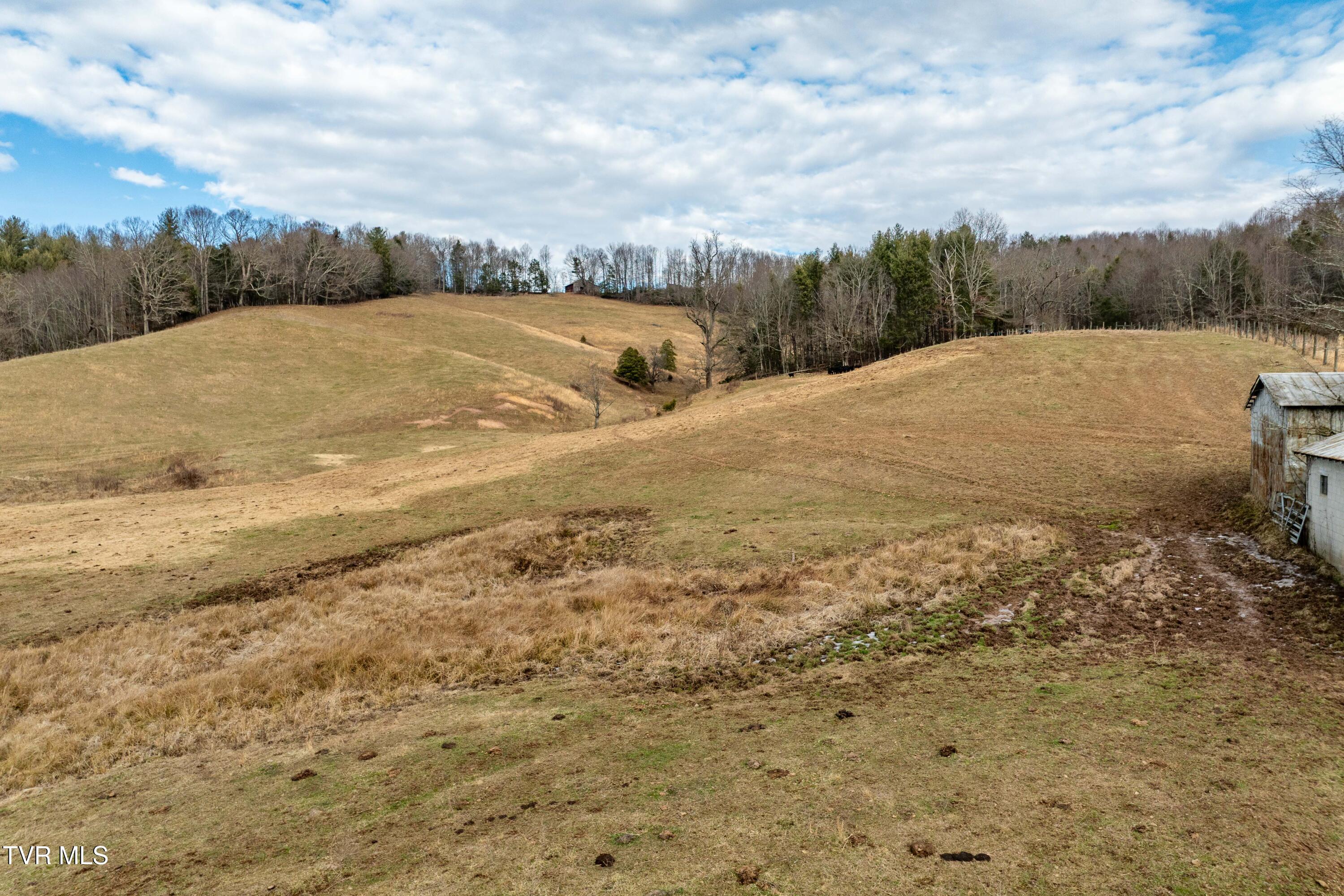 517 Mill Creek Road Mountain City, TN 37683 - Photo 11 of 35 517 Mill Creek Road (29 of 38)
