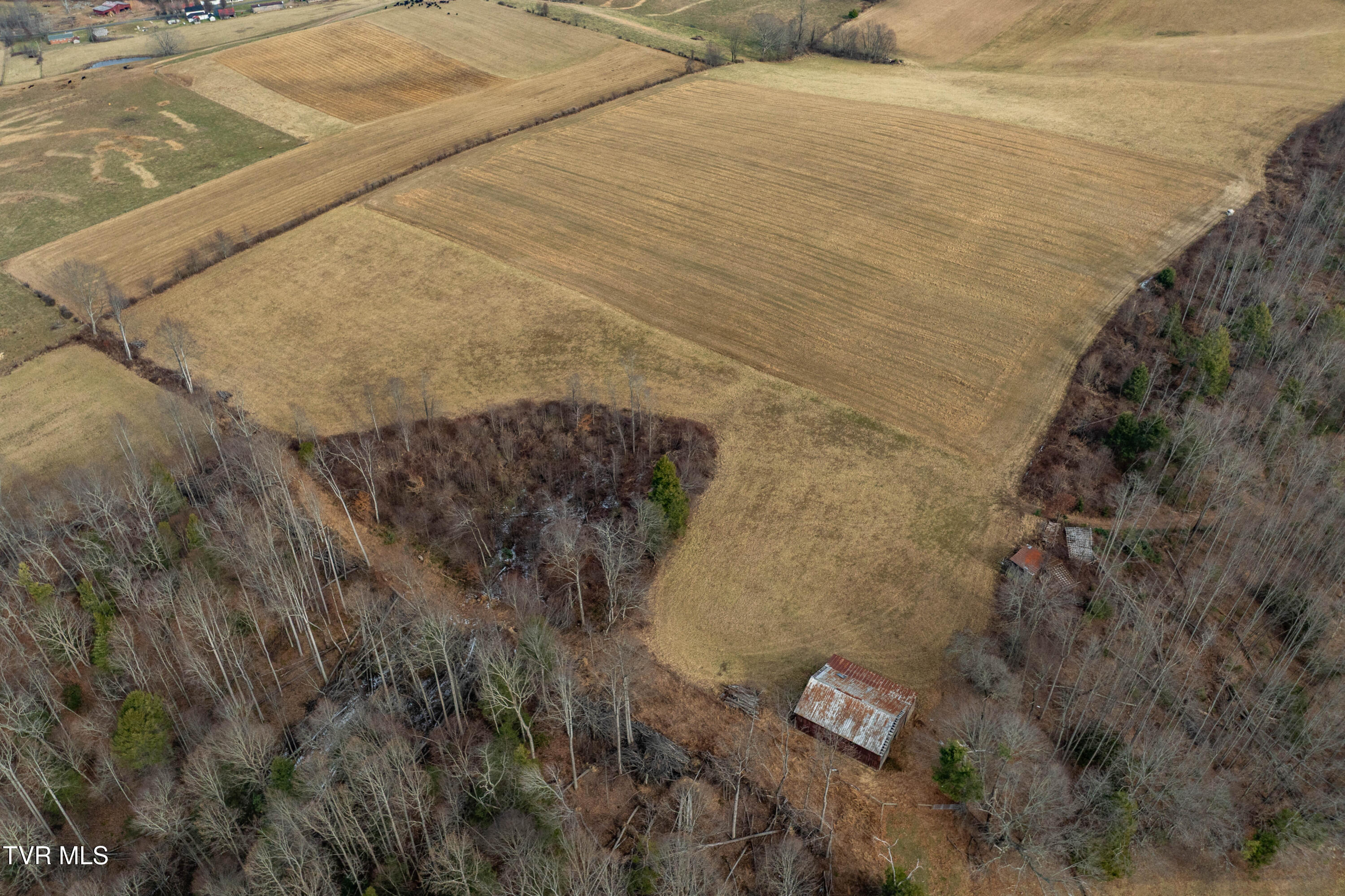 517 Mill Creek Road Mountain City, TN 37683 - Photo 23 of 35 517 Mill Creek Road (16 of 38)