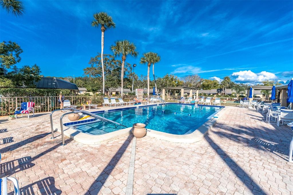 4343 Summersun Drive, Unit 4343 New Port Richey, FL 34652 - Photo 38 of 50 a view of a swimming pool with a patio