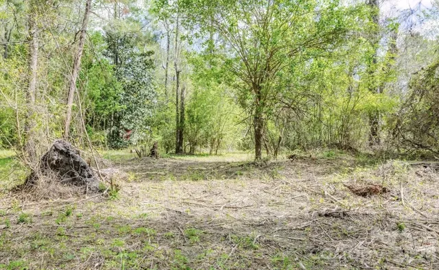a big yard with lots of green space and house in the back