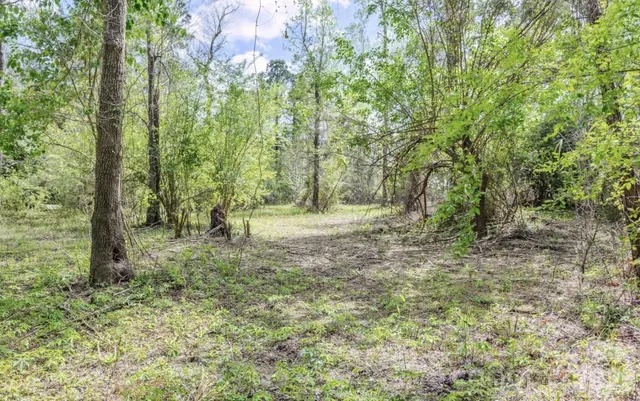 a view of outdoor space with a garden