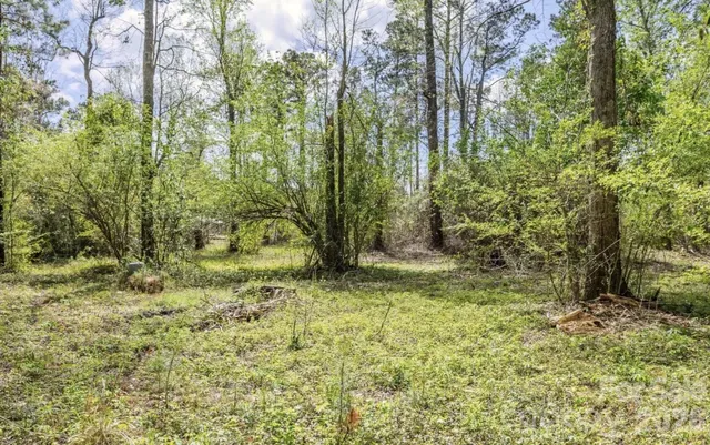 a view of outdoor space with trees