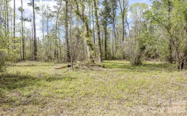 a view of outdoor space and a yard