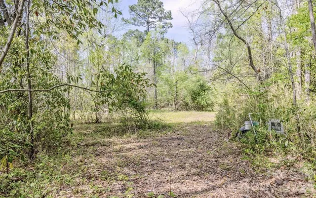 a view of outdoor space and trees