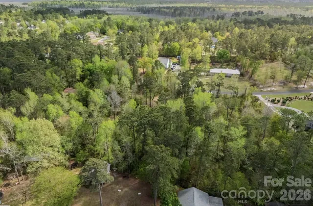 a view of a forest with a street