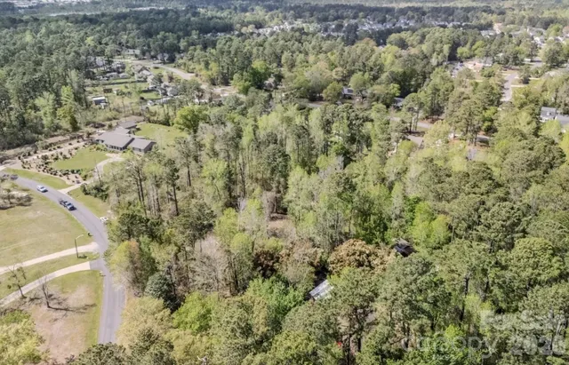 a view of a lots of trees and bushes