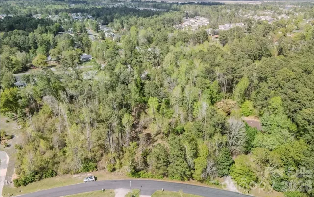 a view of a yard with plants