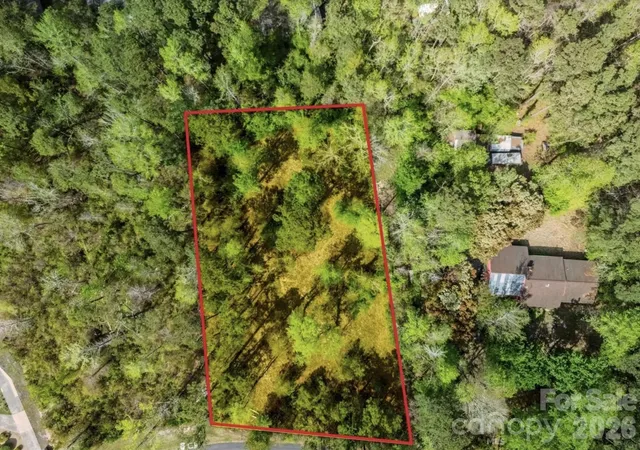 an aerial view of a forest with a yard and mountain view