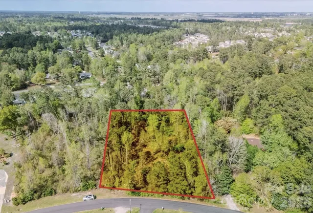 a view of a forest with trees