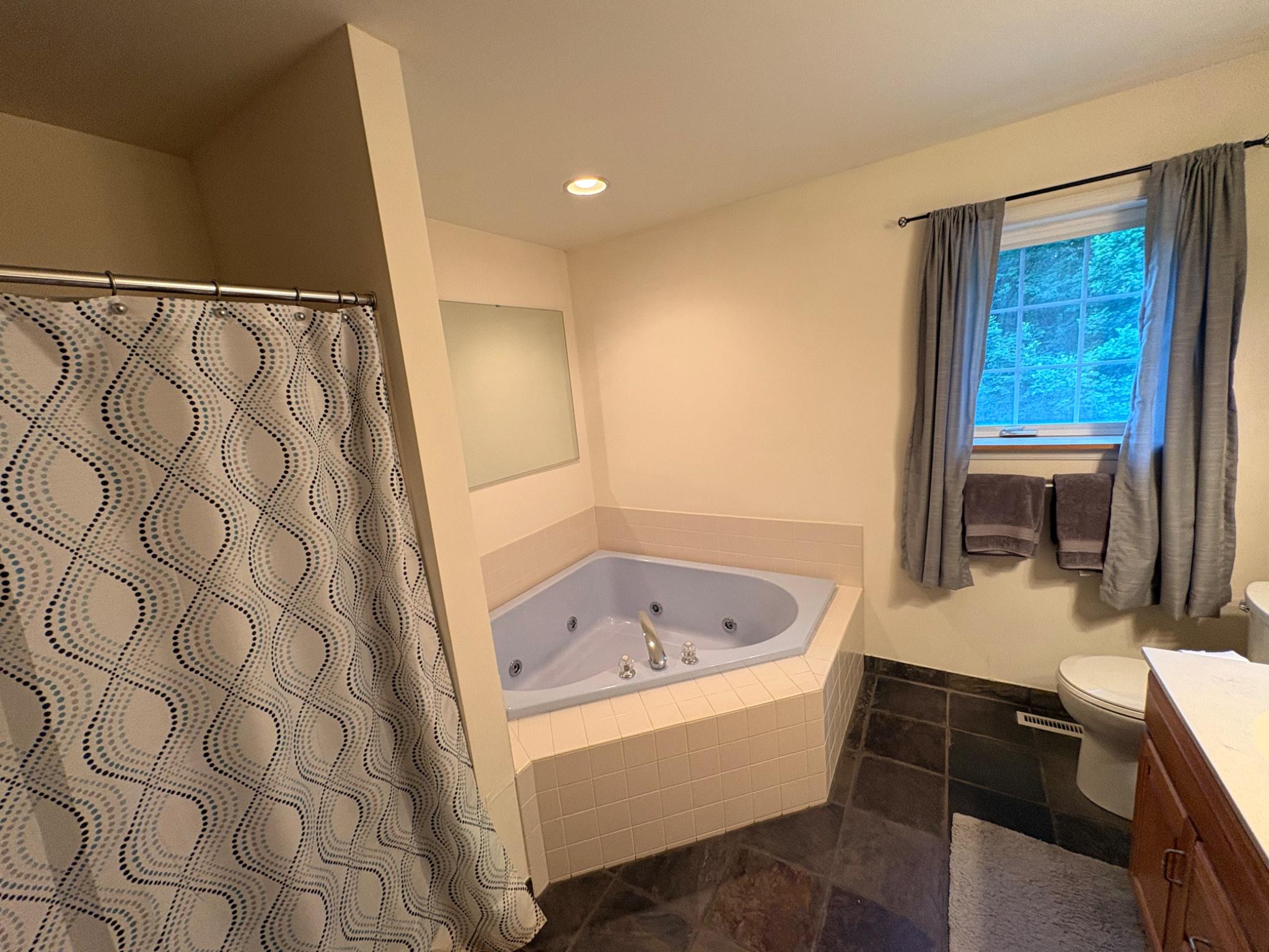 52 Hess Road Boyertown, PA 19512 - Photo 49 of 101 Master bathroom and jetted tub