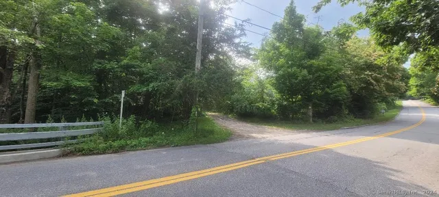 a view of backyard with green space