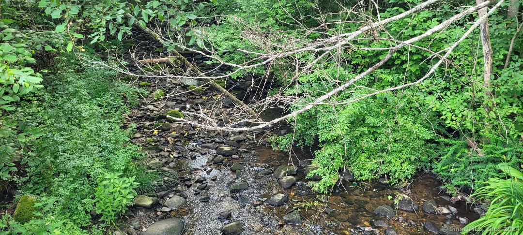 Wheeler Road Litchfield, CT 06759 - Photo 3 of 6 a backyard of a house with lots of plants