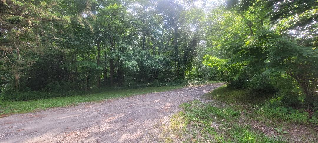 Wheeler Road Litchfield, CT 06759 - Photo 4 of 6 a view of a forest