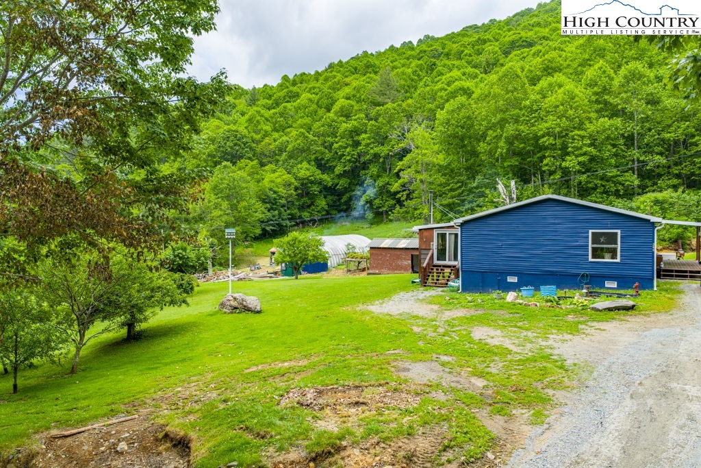 285 Roaring Fork Road Todd, NC 28684 - Photo 7 of 41 a backyard of a house with plants and large tree