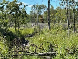 2121 Middle Road Pierpont, OH 44082 - Photo 28 of 35
