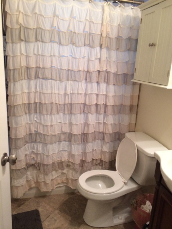 178 Hillside Street, Unit 1 Boston, MA 02120 - Photo 8 of 13